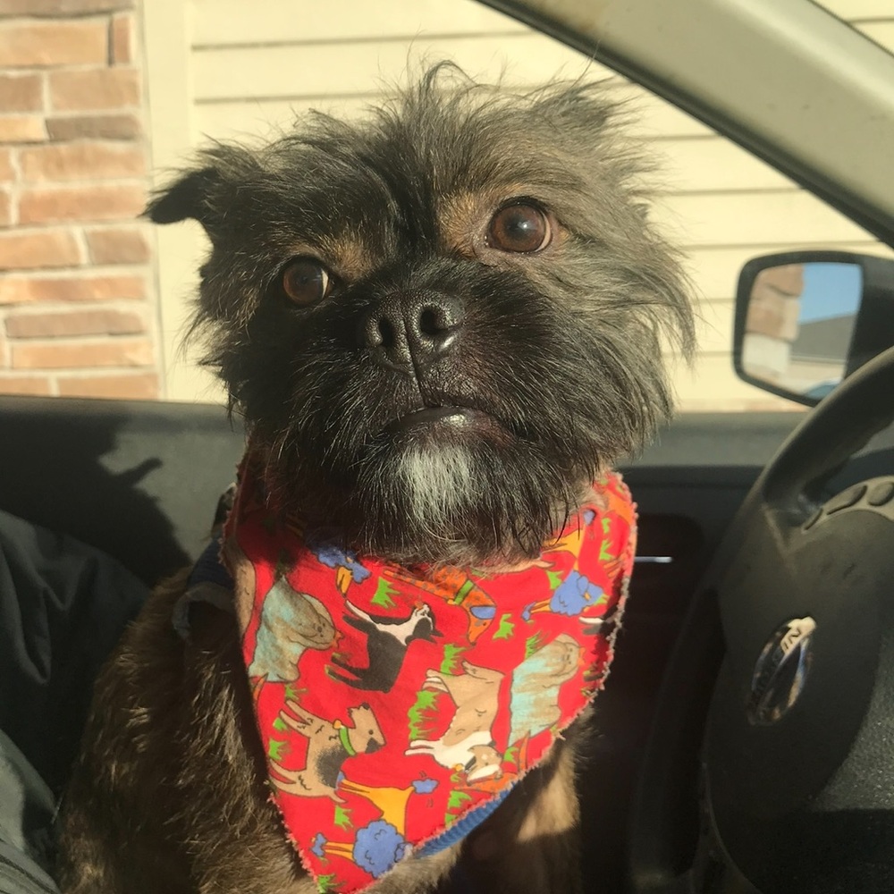 Meet your Posher, David